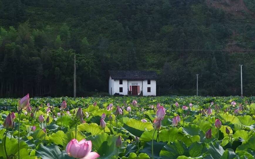 情感导师排名